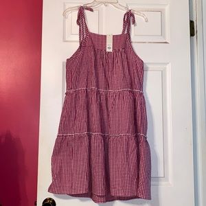 Francesca’s Pink Gingham Dress